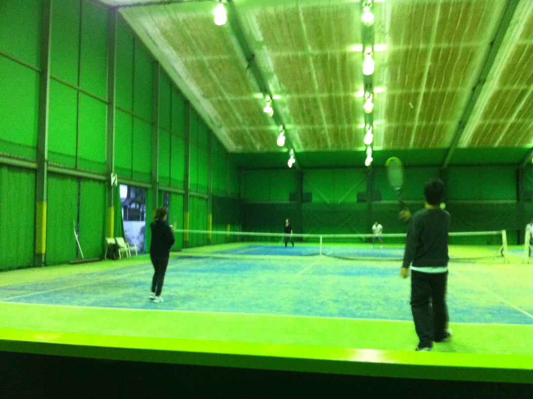 Karuizawa Indoor Tennis Court景点图片