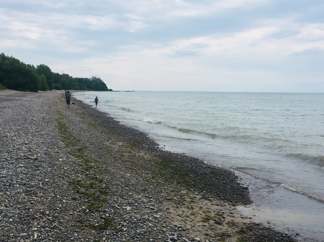 Rock Point Provincial Park-Dunnville必去景点