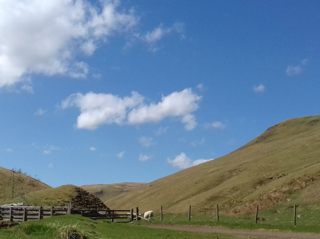 Northumberland National Park旅游攻略图片