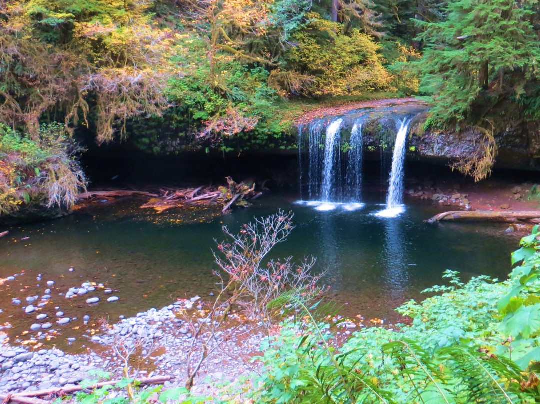 Butte Falls旅游景点-Butte Creek Falls
