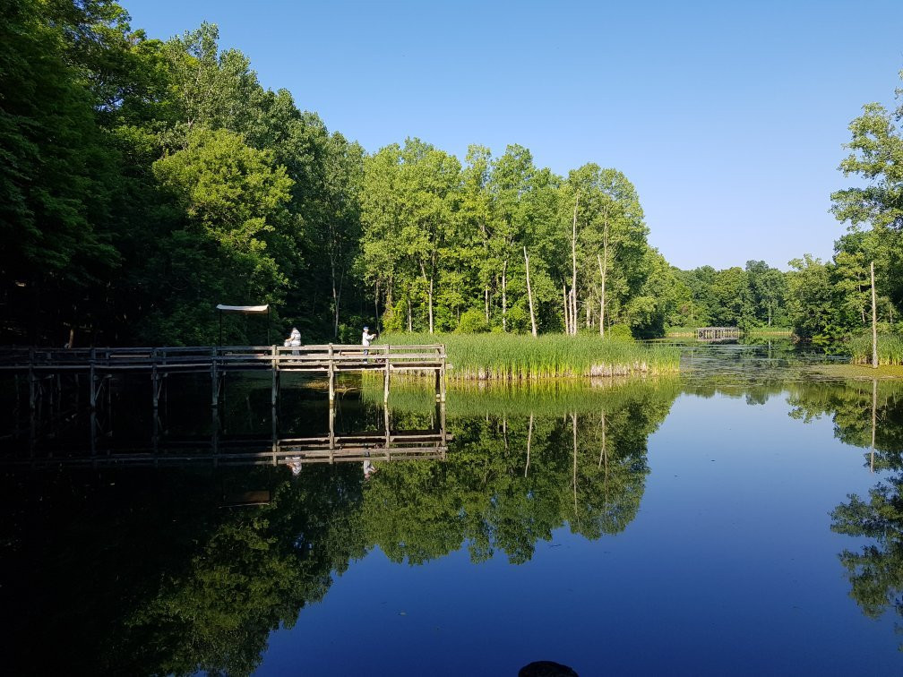诺斯维尔旅游攻略图片