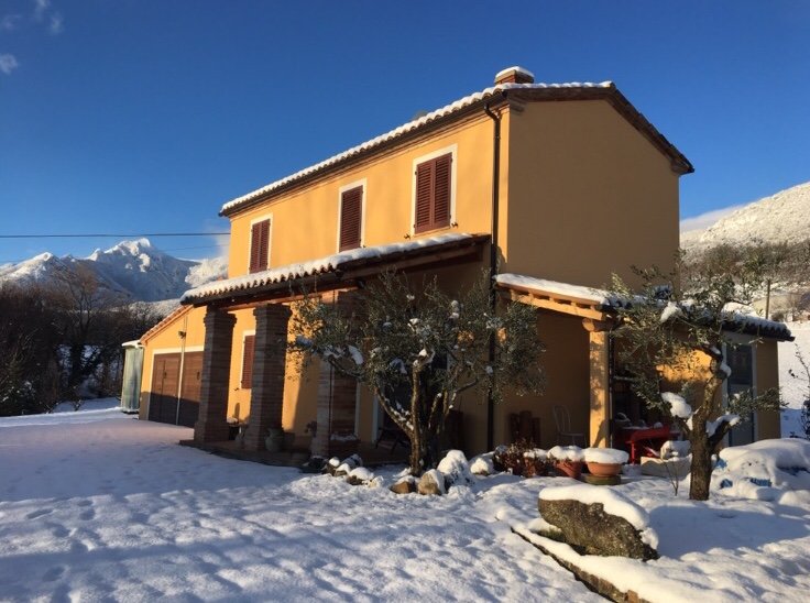 B&B Amici Country-官方