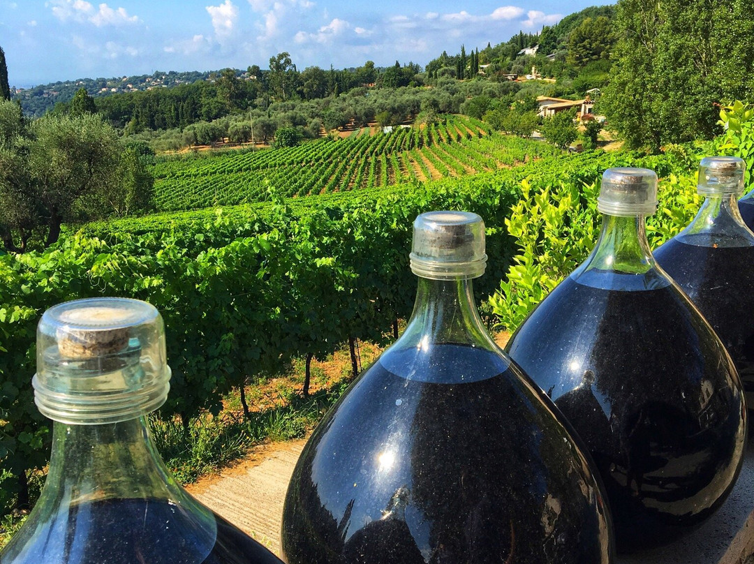 Vignoble Rasse景点图片
