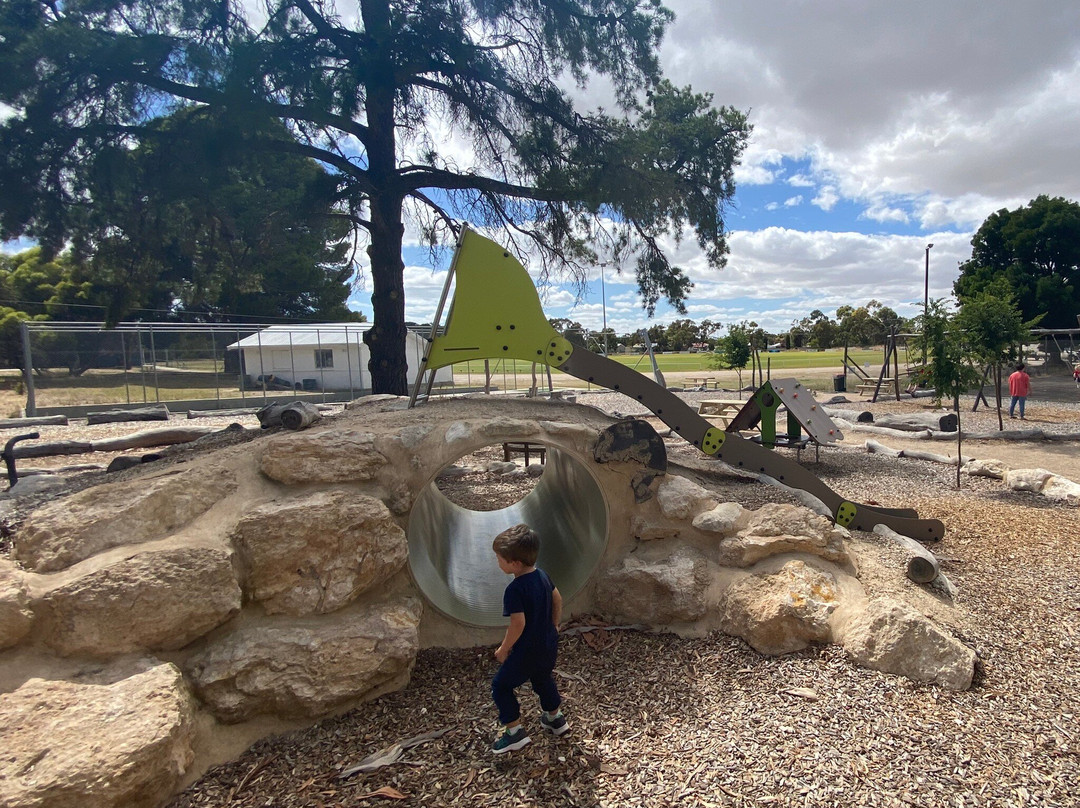 Tintinara旅游攻略图片