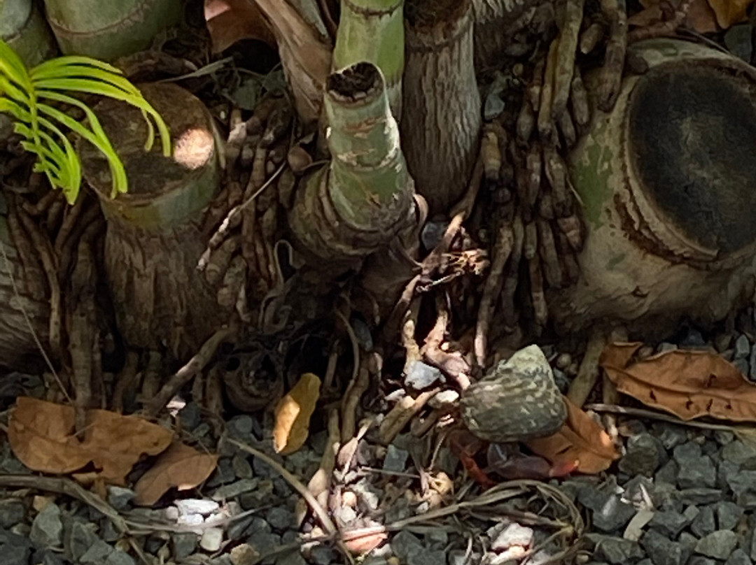 Domaine de St Francois