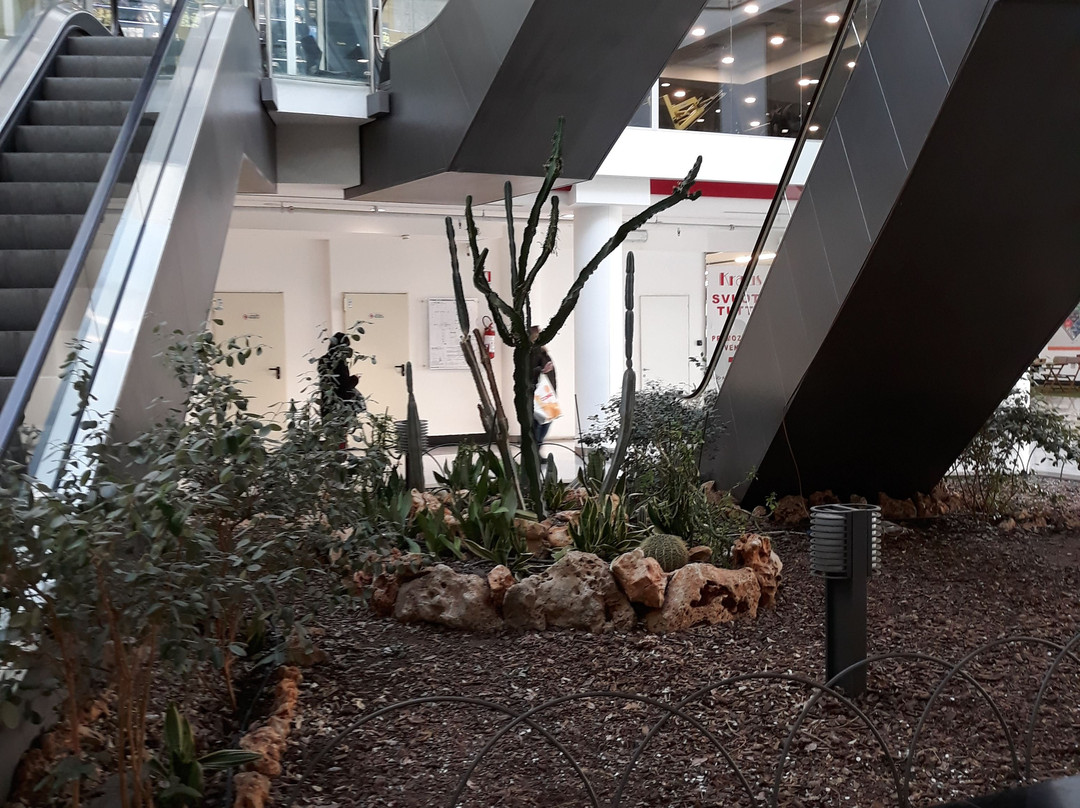 Centro Commerciale Domus-罗马必去景点