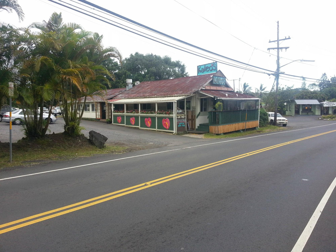 Ainaloa旅游景点-Pahoa Village Club (pvc)