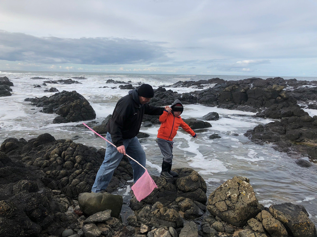 Salmon Rock Beach景点图片