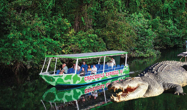 Crocodile Express Daintree River Cruises-Daintree必去景点