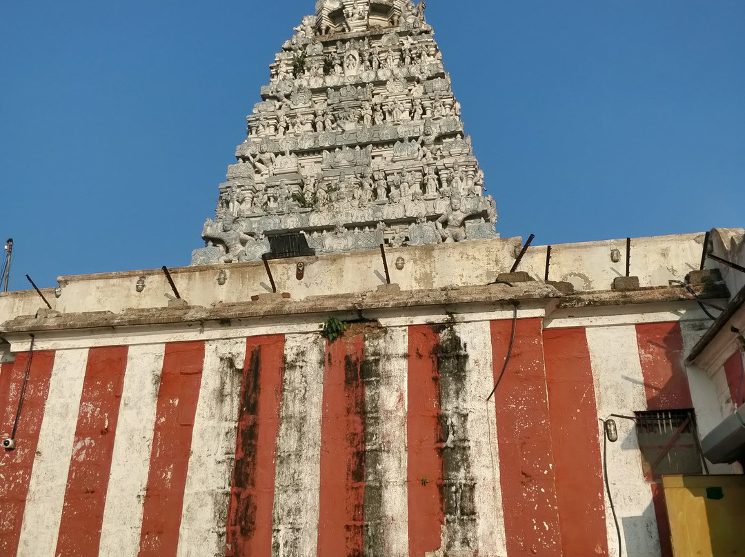 Vedagiriswarar Temple景点图片