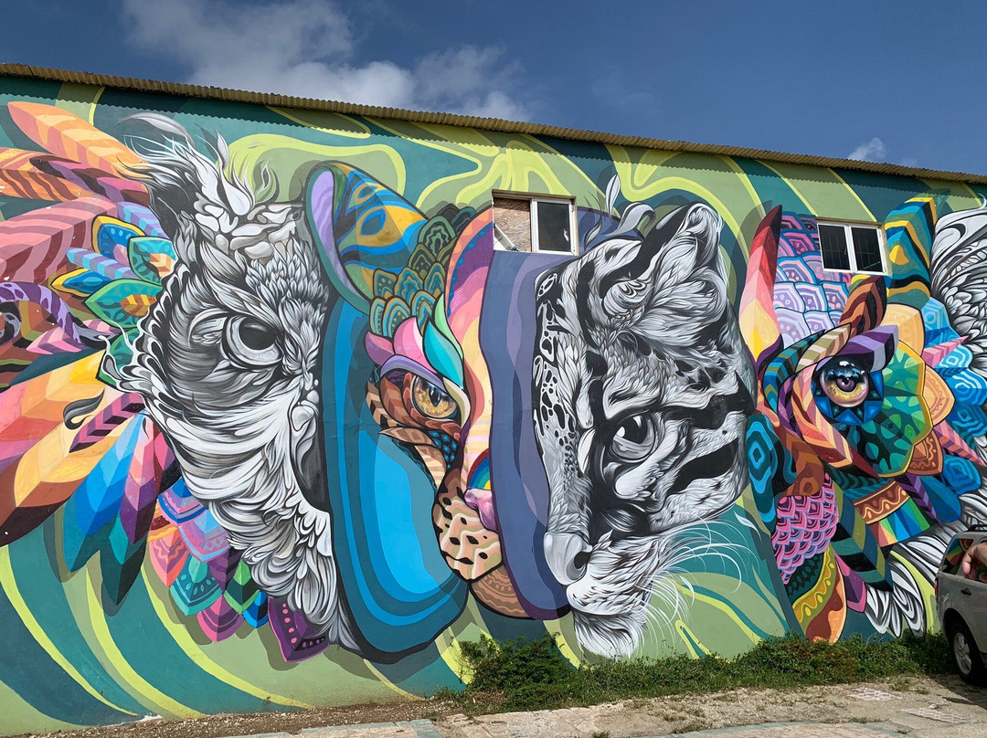 Aruba Mural Tours-San Nicolas必去景点