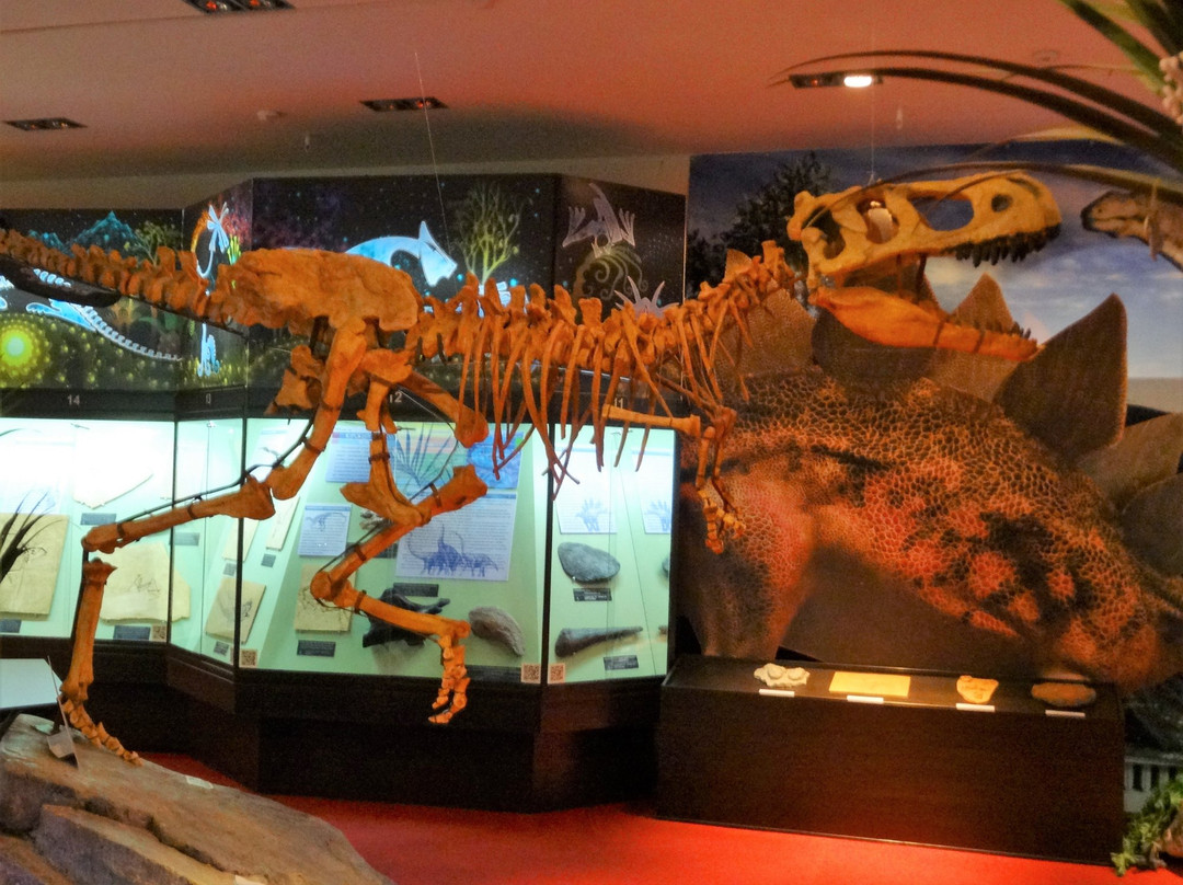 基洛夫旅游景点-Vyatka Museum of Paleontology
