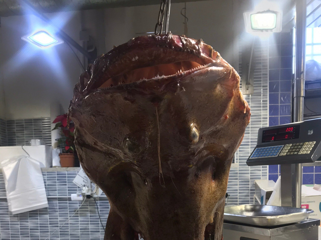 Mercato Rionale di Is Mirrionis-卡利亚里省必去景点