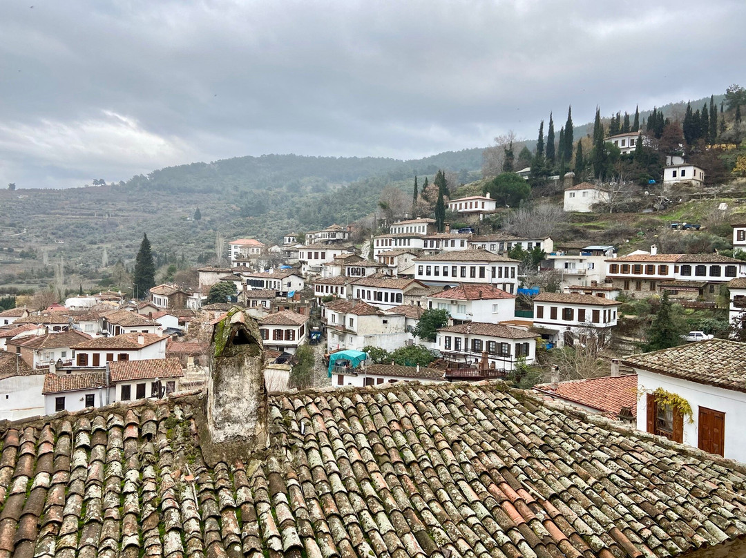 Brothers Taxi-库萨达斯必去景点