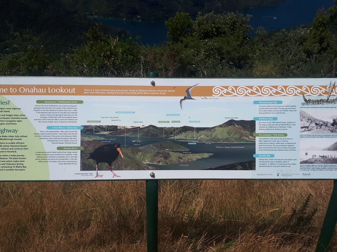 Onahau Point Lookout-Te Mahia必去景点