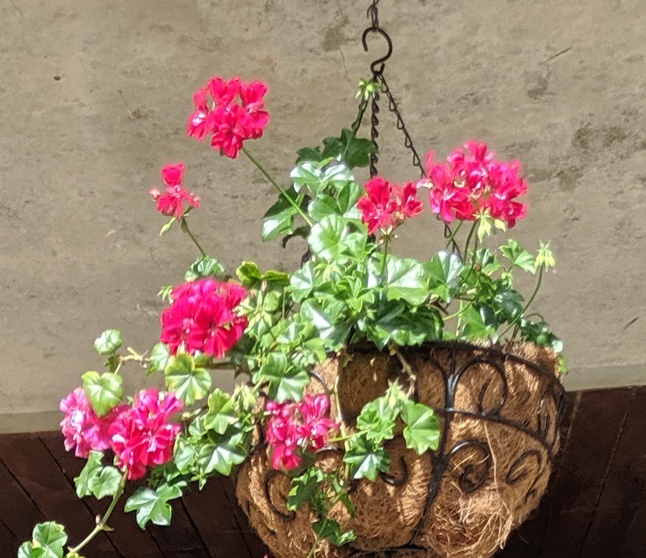 Parque Arví-麦德林必去景点