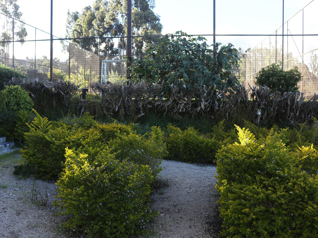 Hacienda Turística Las Manolas主图