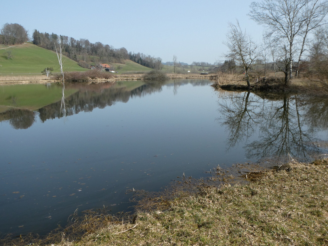Weiherlandschaft Ostergau-Willisau必去景点