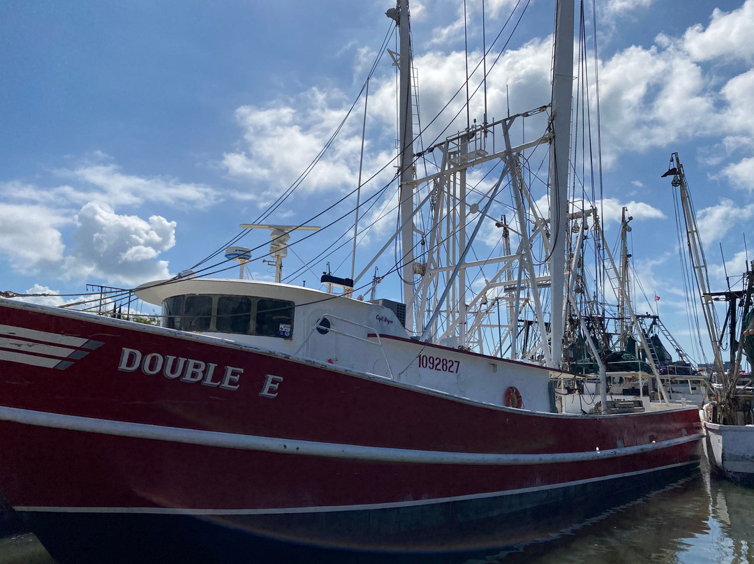Ostego Bay Marine Science Center-迈尔斯堡海滩必去景点