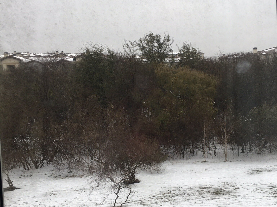 Holiday Inn San Antonio Seaworld By IHG主图