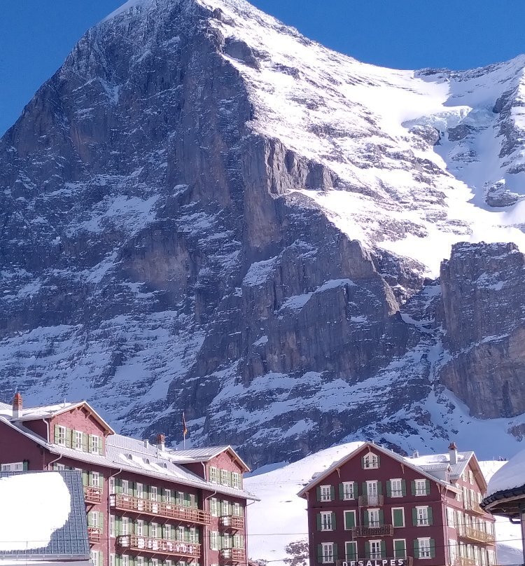 Hotel Bellevue des Alpes主图