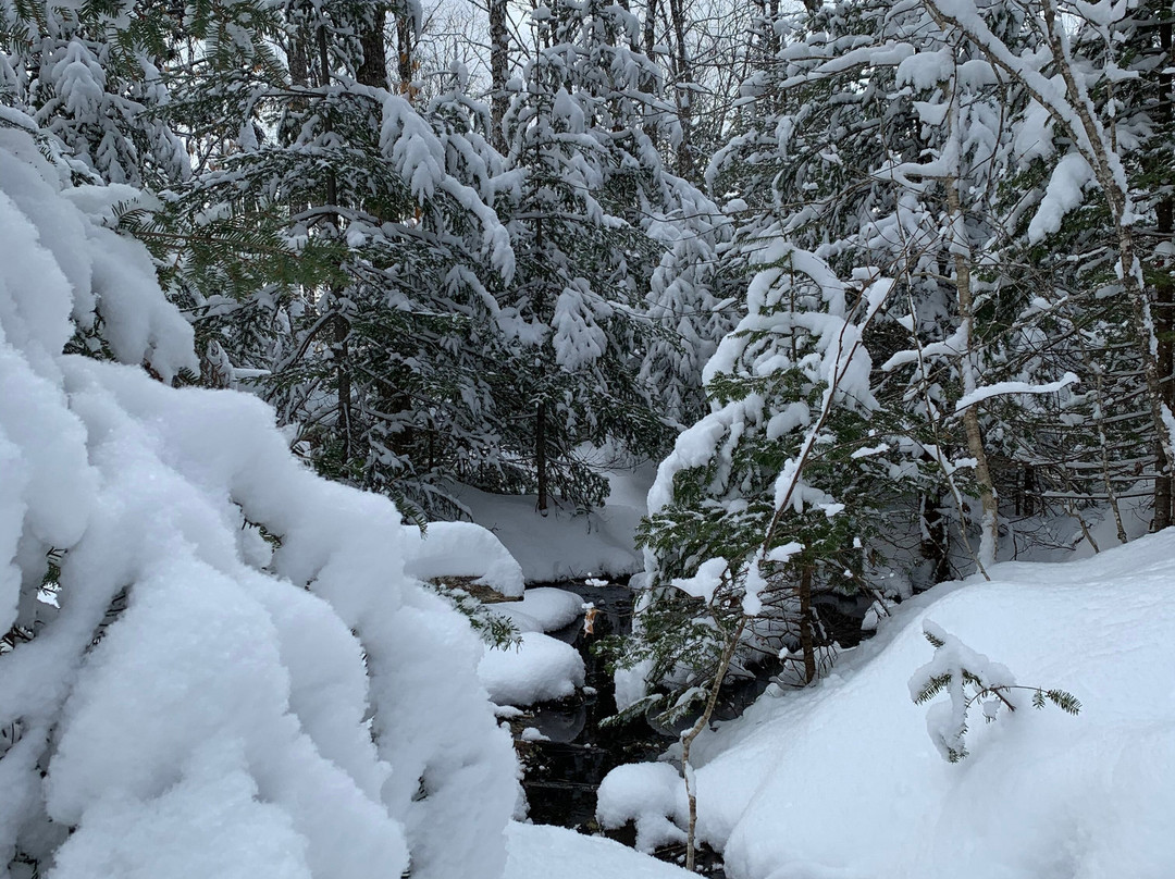 Sugar Moon Farm-Earltown必去景点
