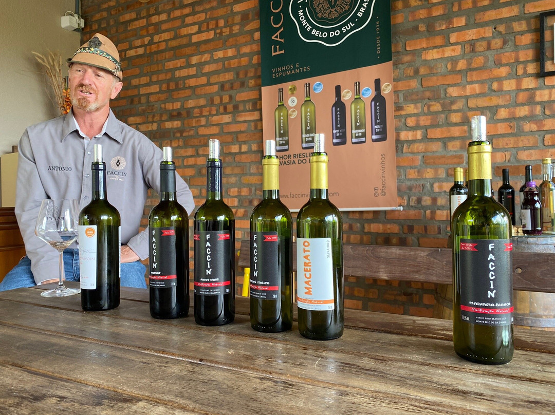 Faccin Vinhos-Monte Belo do Sul必去景点