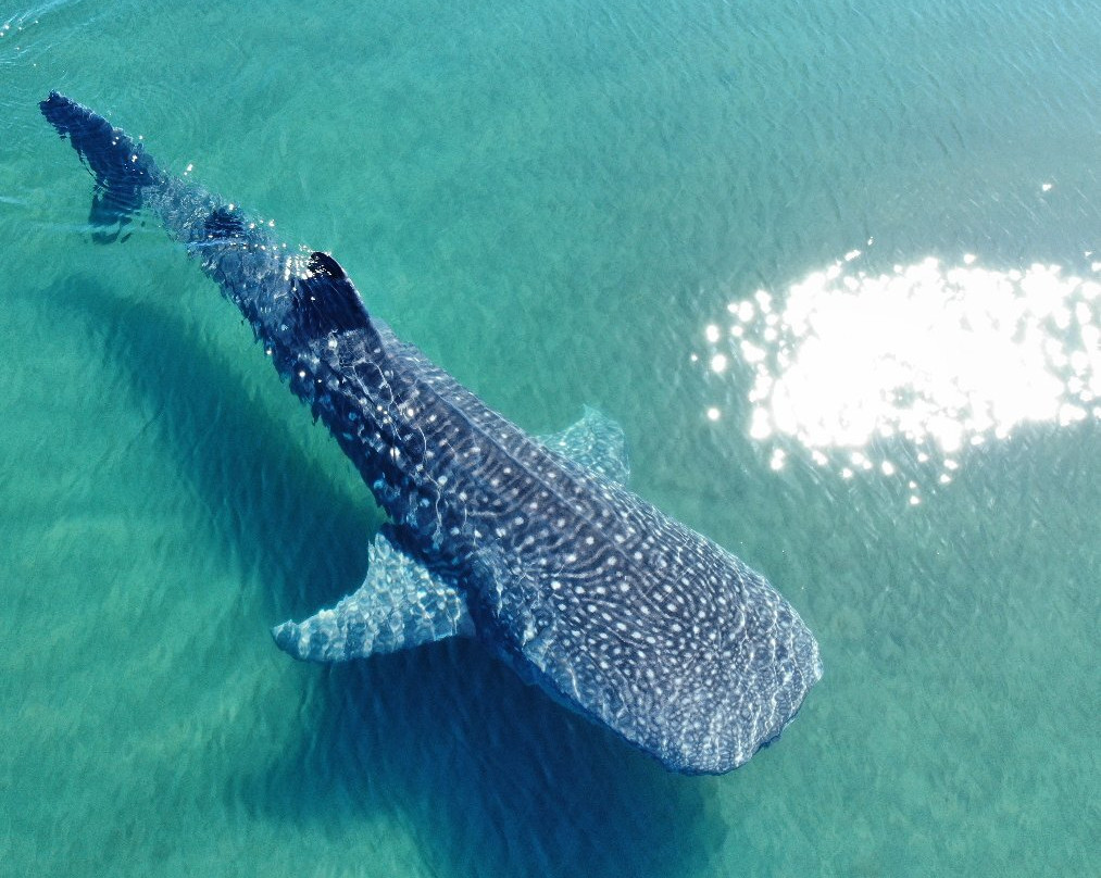 Rancho Cactimar Desert & Sea Eco-Ranch-拉巴斯必去景点