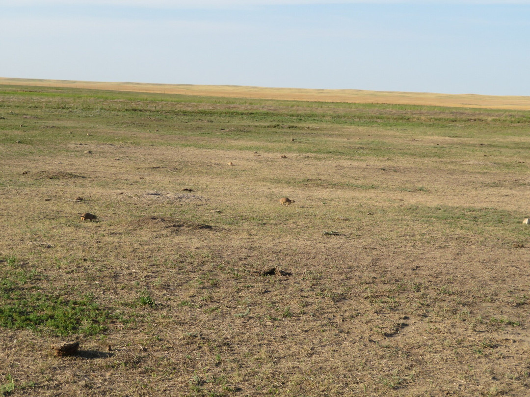 Sage Creek Wilderness Area-恶地国家公园必去景点