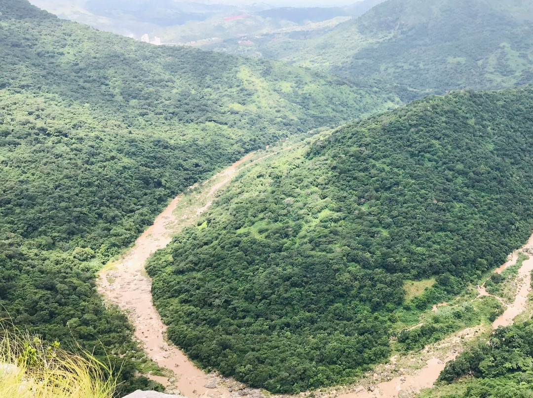 Wild 5 Adventures-Port Shepstone必去景点