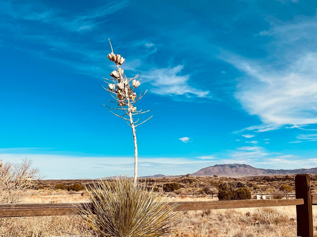 Valley of Fires Recreation Area-Carrizozo必去景点