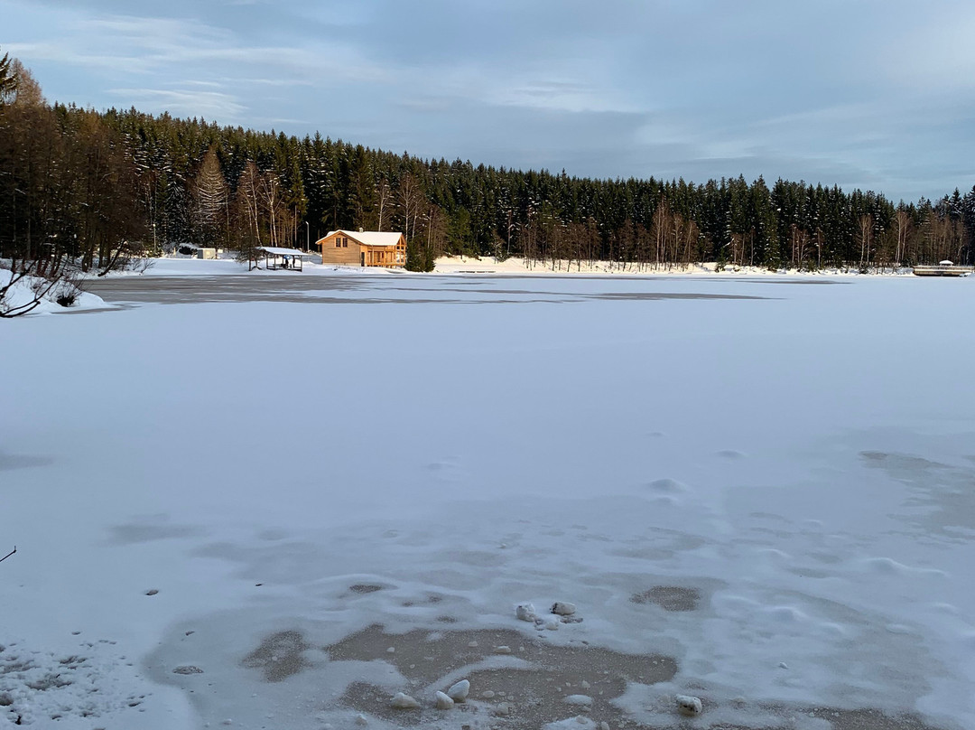 Naherholungszentrum Fichtelsee景点图片