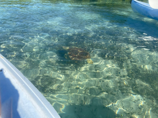 Turks Aqua Adventures-格雷斯湾必去景点