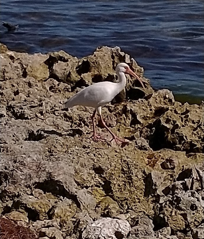 Old Settler's Park-Tavernier必去景点