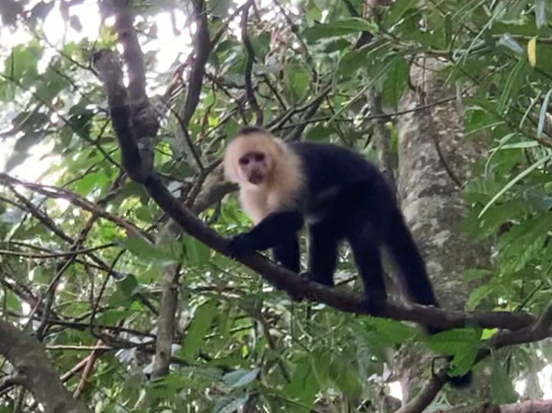 Costa Rica Best Trips-Gulf of Papagayo必去景点