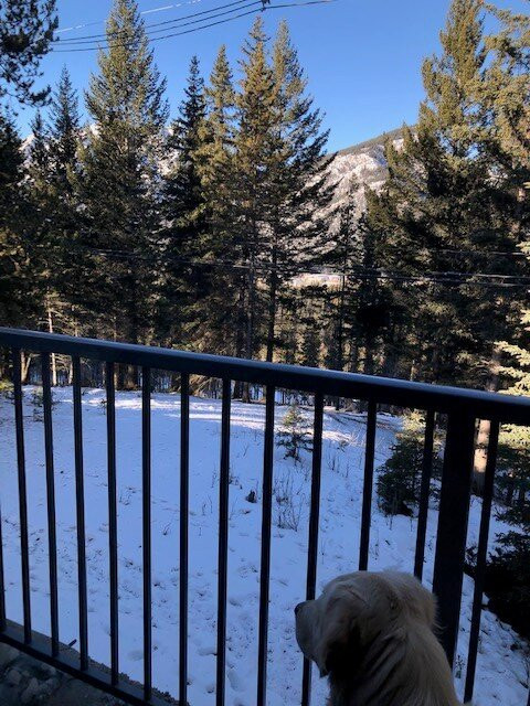 隧道山观光酒店主图