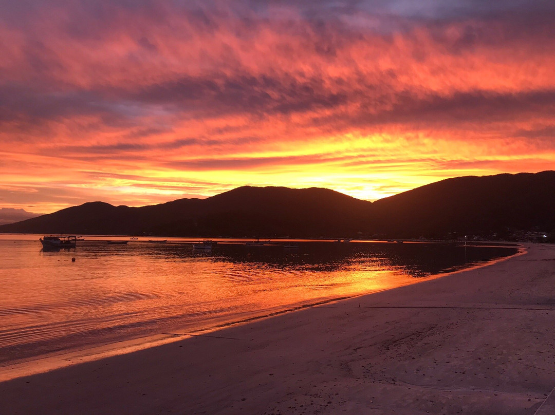 Praia da Armação da Piedade-Governador Celso Ramos必去景点