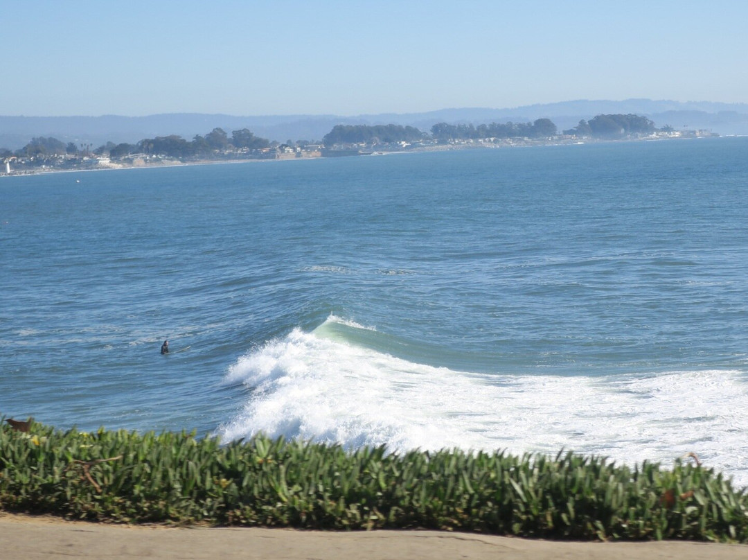 Cowell's Beach-圣克鲁斯必去景点