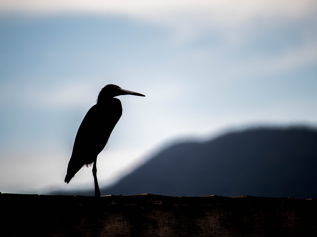 Praia Ponta Azeda-伊利亚贝拉必去景点