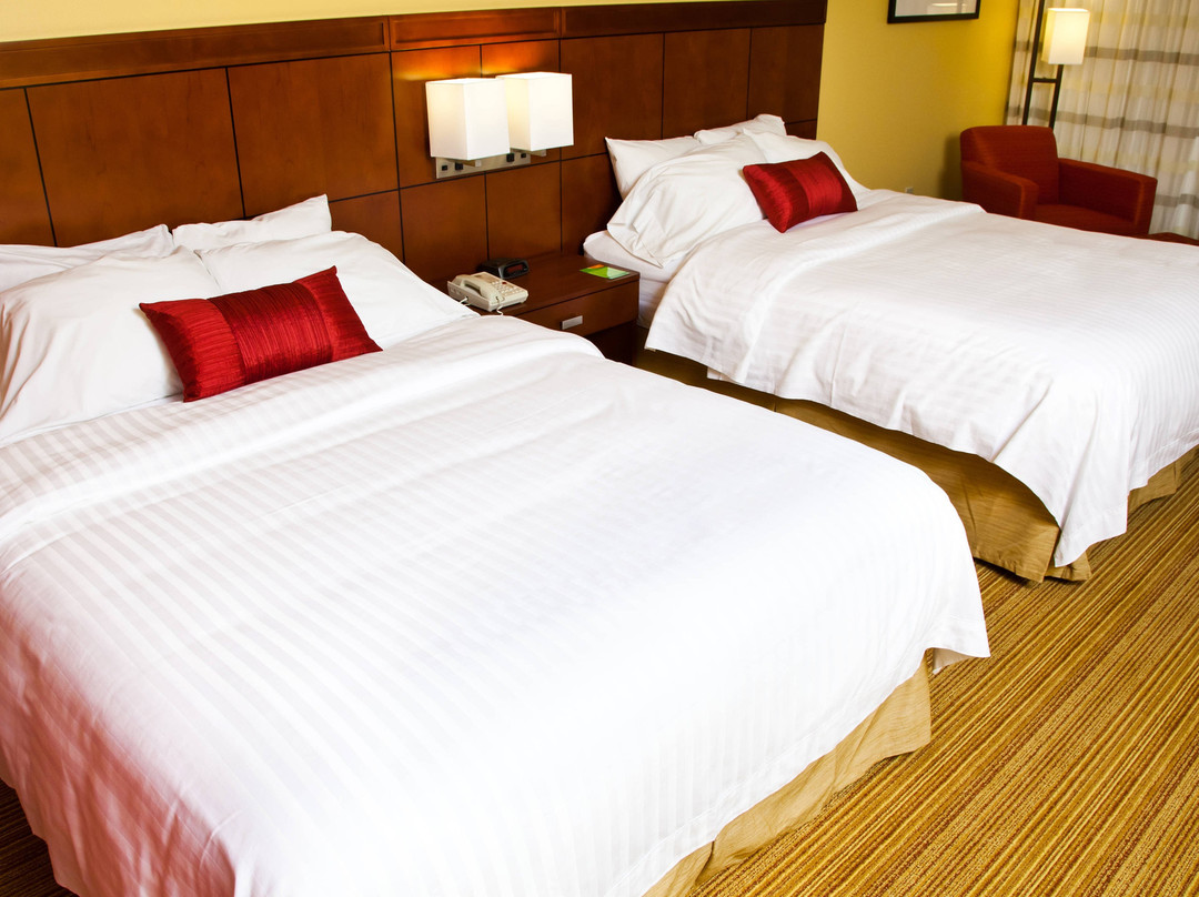 Courtyard by Marriott La Crosse Downtown/Mississippi Riverfront主图