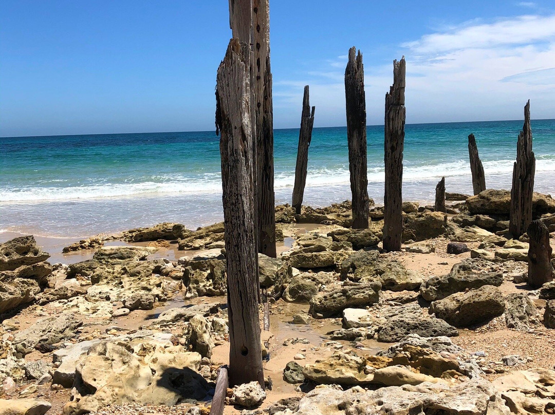 Jetty Pylons-Port Willunga必去景点