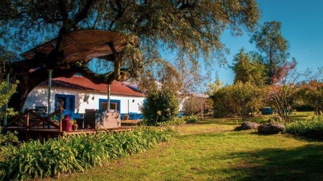 Monte do Serrado de Baixo主图