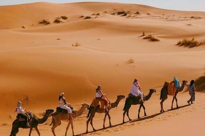 Camp Camel Trekking-梅如卡必去景点