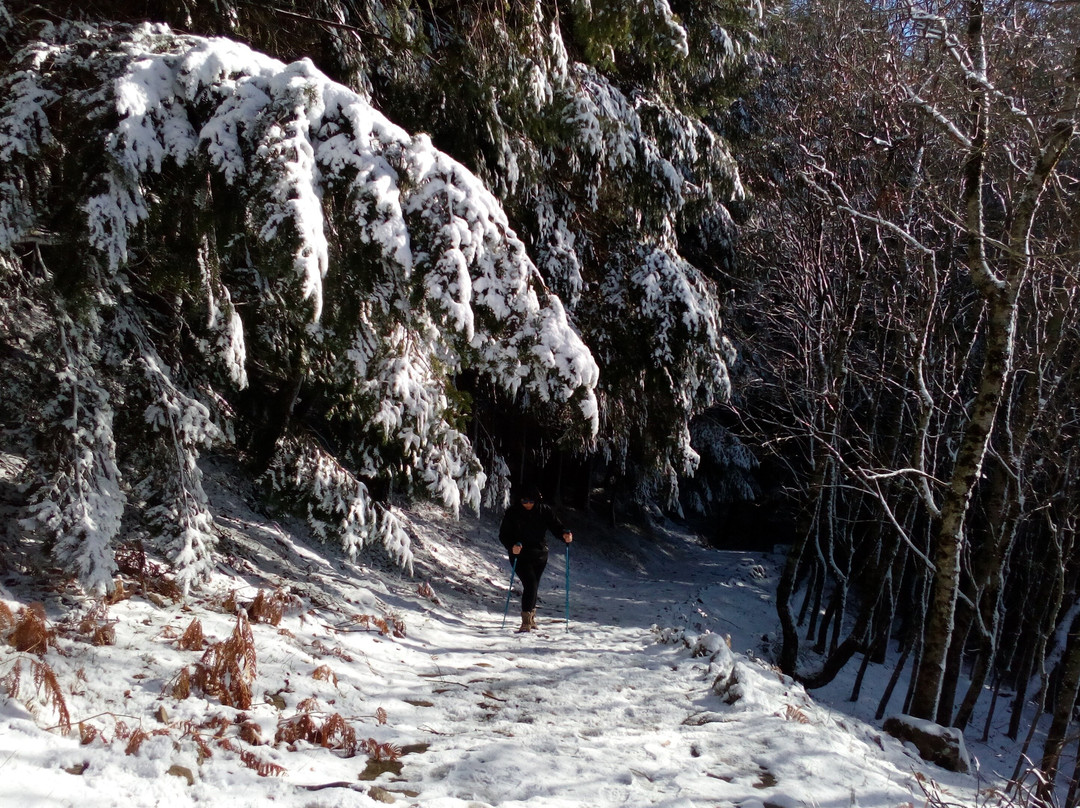 ArcheoTrekking景点图片