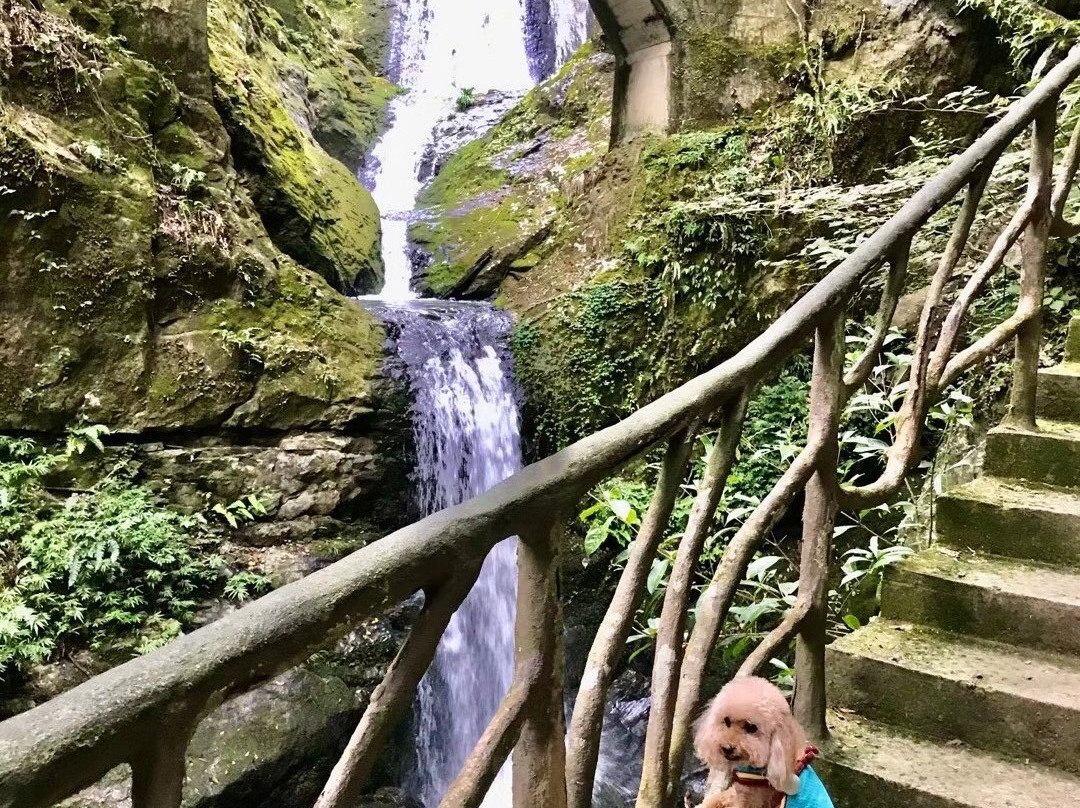 宁德鸳鸯溪-屏南县必去景点