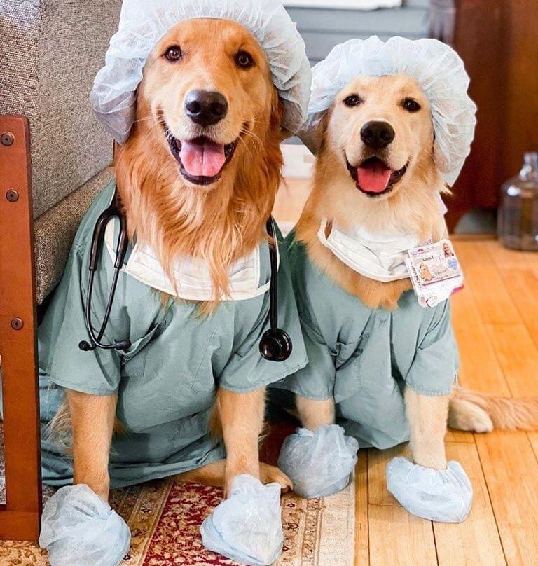 Johnson Reserve-陶兰加必去景点