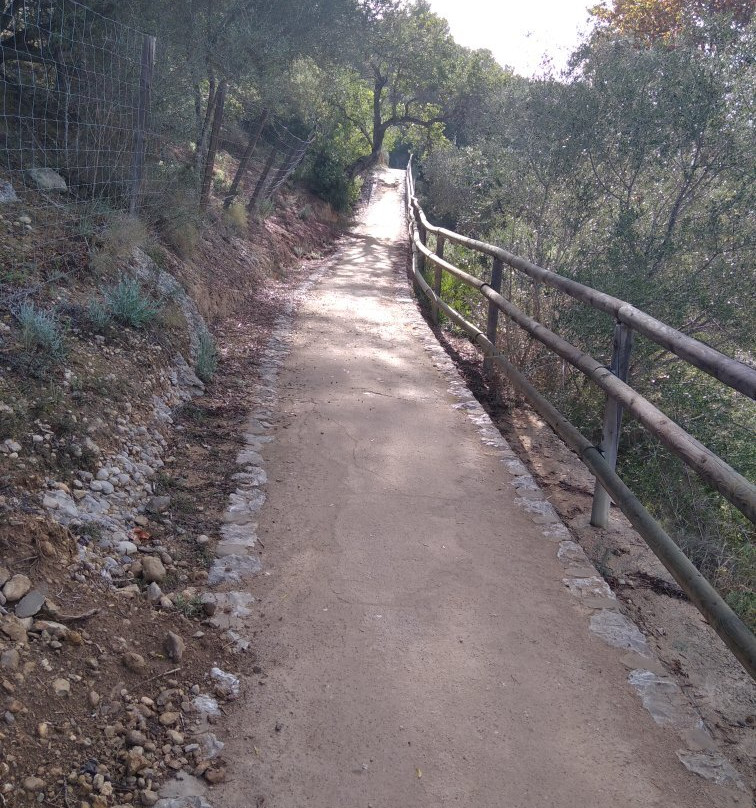 CR2 Peguera - Es Capdella Trail景点图片