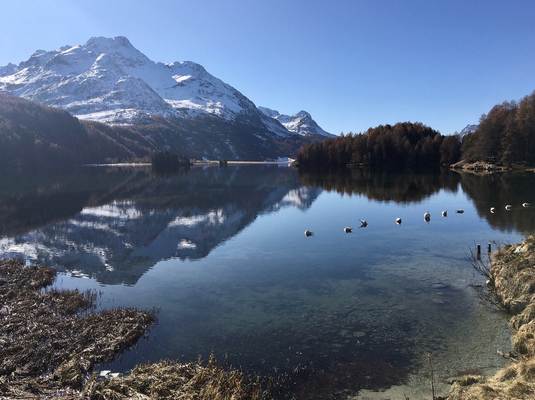 Lake Sils-Sils im Engadin必去景点