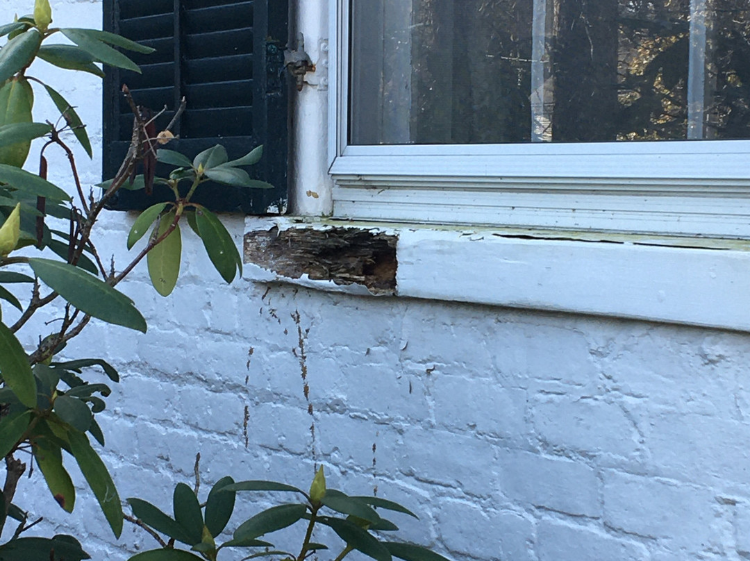 Historic General Lewis Inn主图