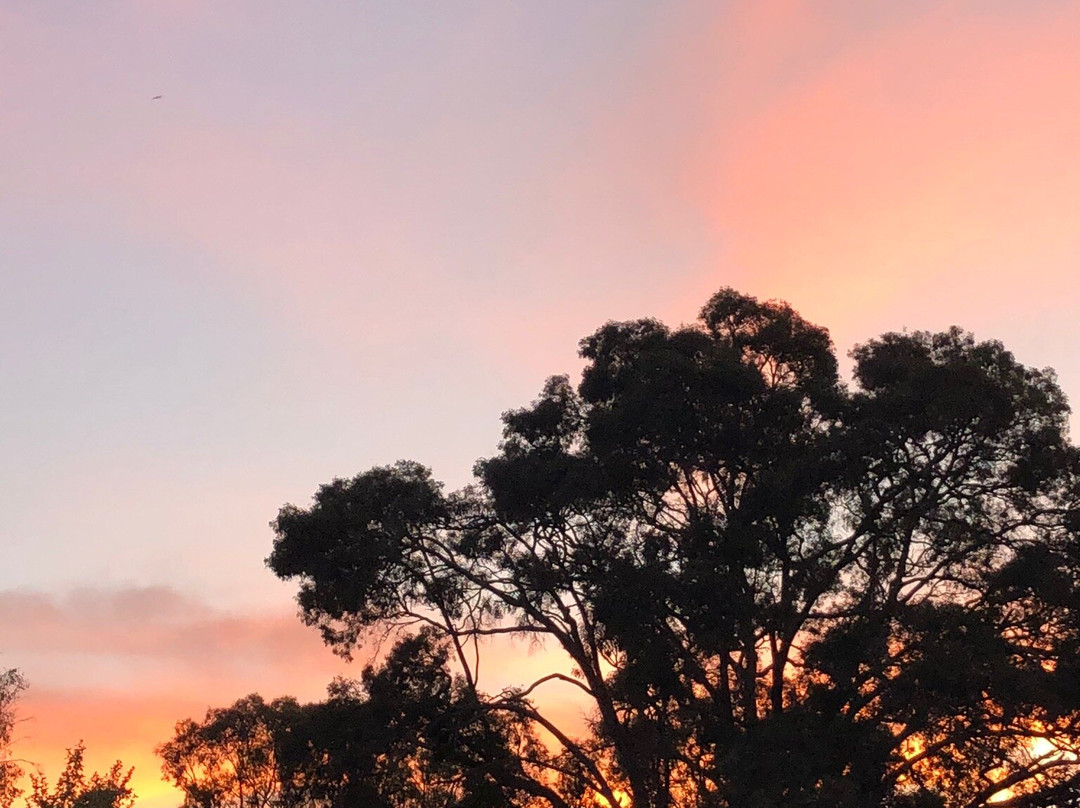 Warrumbungles Mountain Motel主图